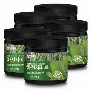 차전자피환 300g x 5