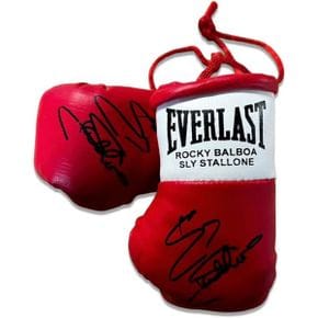 영국 에버레스트 글러브 Autographed Mini boxing Gloves Rocky Balboa Sly Stallone 1762253