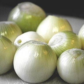 산지직송 아삭 단단한 양파 10kg 사이즈랜덤 나주농산