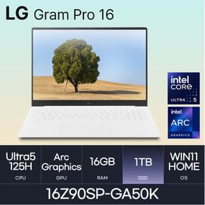 LG전자 그램 프로16 16Z90SP-GA50K (WIN11HOME/SSD1TB/RAM16GB)