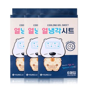 곰탱이 열냉각시트 6매입 3개