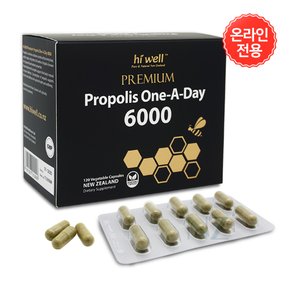 하이웰 프리미엄 프로폴리스 원어데이 6000 플라보노이드 120mg 120캡슐