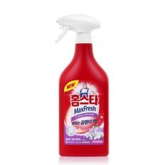 홈스타 뿌리는 곰팡이 싹 750ML