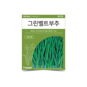 베하몰 텃밭 채소 씨앗 그린벨트 부추 X ( 4매입 )