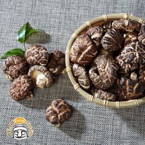 [바로배송] 제주시산림조합 표고버섯 선물세트 (흑화고 400g)