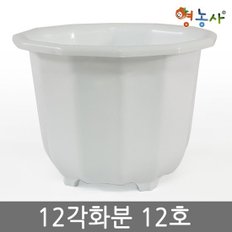 12각화분 12호 / 플라스틱화분 인테리어 분갈이