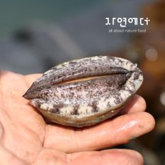 산지직송 완도 전복 1kg 30~40미