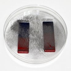  유비 철가루자기장실험(5인용) 915557