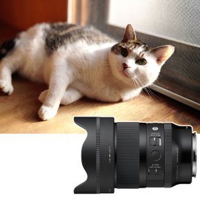 A 35mm F1.4 DG II 라이카 L마운트+압도적 화질의 2세대 리뉴얼+무상보증기간2년추가