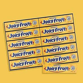 쥬시프루트 츄잉 껌 벌크 팩 5 스틱 40개 WRIGLEY`S JUICY FRUIT Chewing Gum