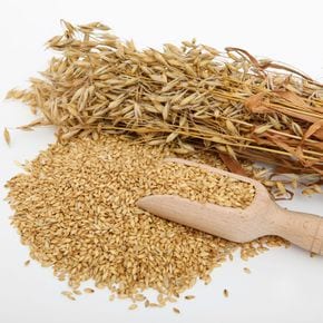 국내산 귀리 1kg