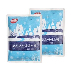 아이스팩 완제품 650ml 2개 냉찜질 얼음 쿨팩 택배 포장 식품용