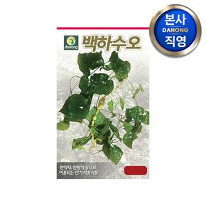 백하수오 씨앗 50g . 백수오 야채 채소 텃밭 파종 재배 주말 농장 씨 종자