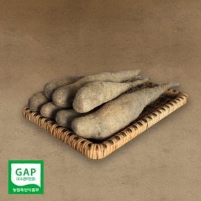 GAP인증 직접재배 명품 마, 마씨앗