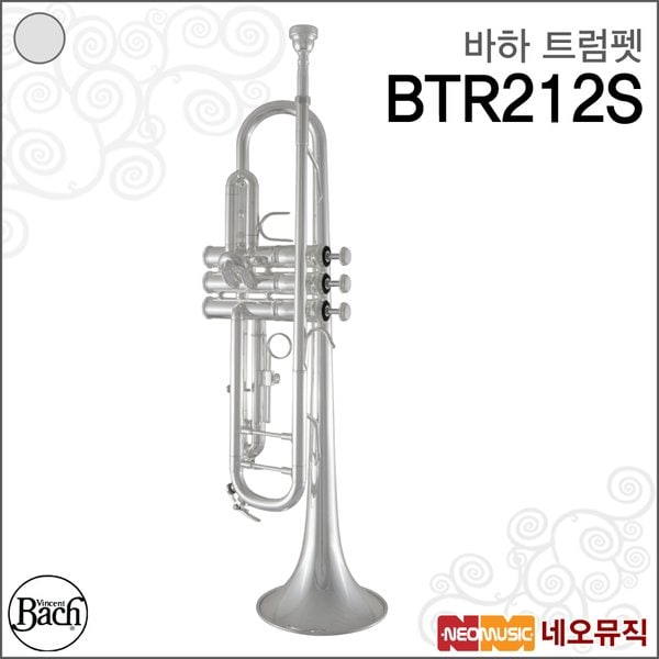 확대된 대표 대표이미지