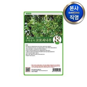 고로쇠 나무 씨앗 (단풍) 15g . 수목 식물 씨 종자