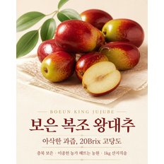 [예약/15일순차출고] 보은 복조 프리미엄 왕대추 초생재배 생대추 1kg(별초, 왕특초)