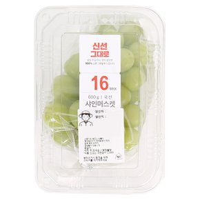 고당도 샤인머스켓 한송이 600g (팩)