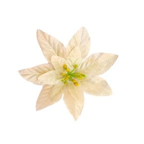 포인꽃 12cm 골드