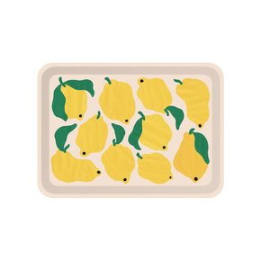 트레이 Lemons  - S size / 리브 리