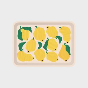 트레이 Lemons  - S size / 리브 리
