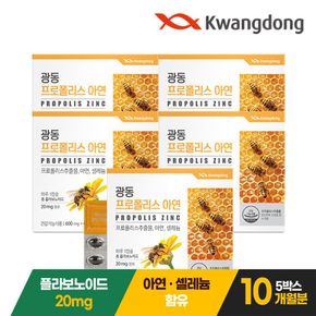 광동프로폴리스아연 5박스 10개월 플라보노이드[30038672]