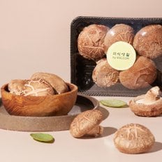 친환경 표고버섯 150g