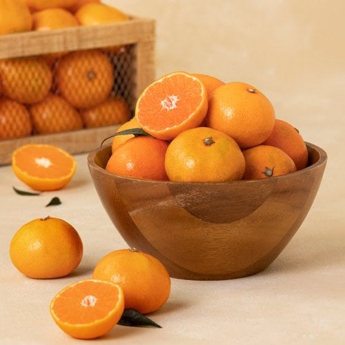 제주 감귤 (극조생) 3kg 박스