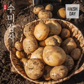 [산지직송] 포슬포슬 쫀득한 햇 수미감자 왕특품 5kg (160g이상)