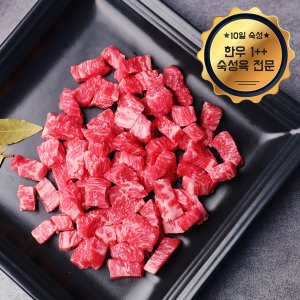 웰굿 [냉장][숙성육]1++(9)등급 숙성한우 치마양지 500g