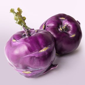 [오늘의채소] 아삭달콤 제주 콜라비 2.5kg(실중량)