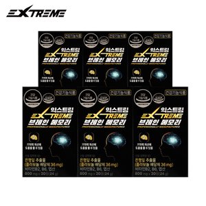 익스트림 뇌건강 브레인메모리 800mg X 30정 / 6박스 (6개월분)