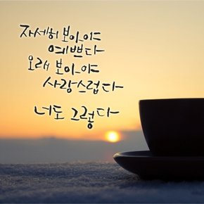 1AM 캘리그라피 월데코 스티커 - 자세히 보아야 예쁘다