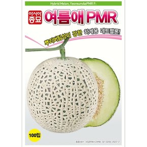 씨앗 멜론 여름애PMR 100립
