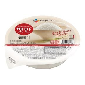 햇반 큰공기 300g 1개