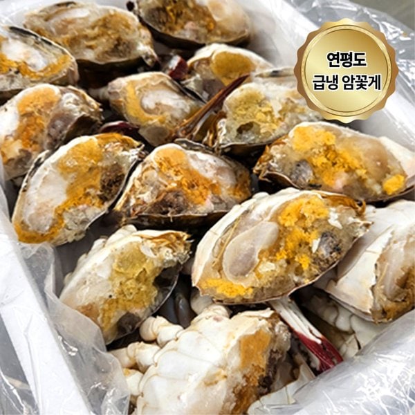 확대된 대표 상품이미지1