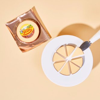  스모크 디스크 100g