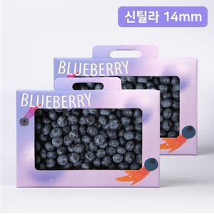 라라르떼 블루베리 800g 선물패키지