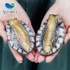 [9/6(금)순차출고][청산바다] 완도 활전복 중복 14-15미 1.5kg (약 21-22마리) (선물포장가능)