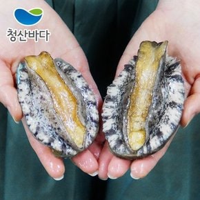 [9/6(금)순차출고][청산바다] 완도 활전복 중복 14-15미 1.5kg (약 21-22마리) (선물포장가능)