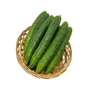  국내산 취청 오이 1kg (개당220g내외)