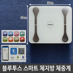 스마트 디지털 체중계 가정블루투스 체지방  인바디