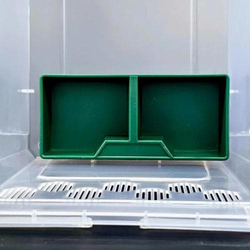 IMAGE2