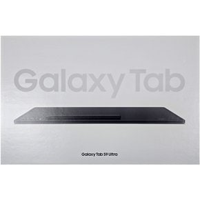 갤럭시탭 S9 울트라 WiFi 256GB