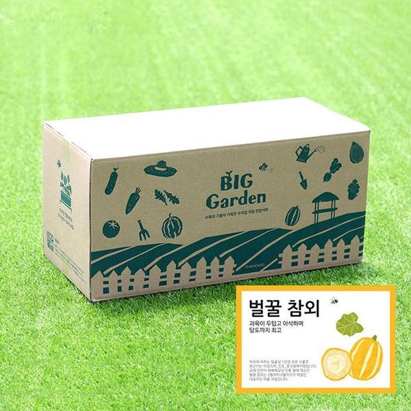 확대된 대표 베란다 텃밭 도시농부 저면관수 화분 빅가든 참외(1)