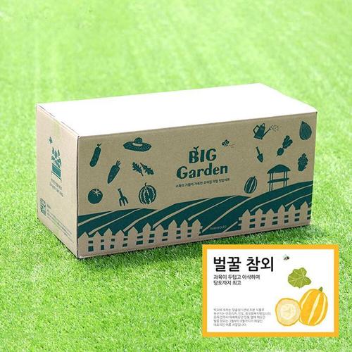 베란다 텃밭 도시농부 저면관수 화분 빅가든 참외(1)