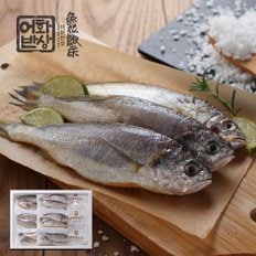 간편포장 영광법성포 진공굴비 20미 1.2kg(마리당 60g/18-20cm)