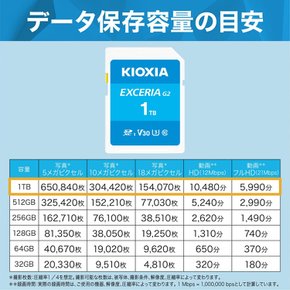 KIOXIA SD 1TB SDXC UHS-I U3 V30 Class10 100MBs KLNEB001T (키옥시아) 구 도시바 메모리 카드