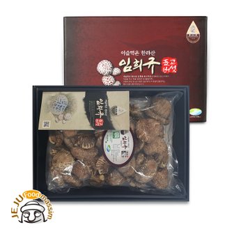 제주푸드마씸 이슬먹은 한라산 임희규 표고버섯세트 500g (유기농 인증, 동고)