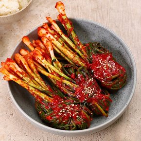 셰프애찬 매콤 알싸한 국산 파김치 500g/팩